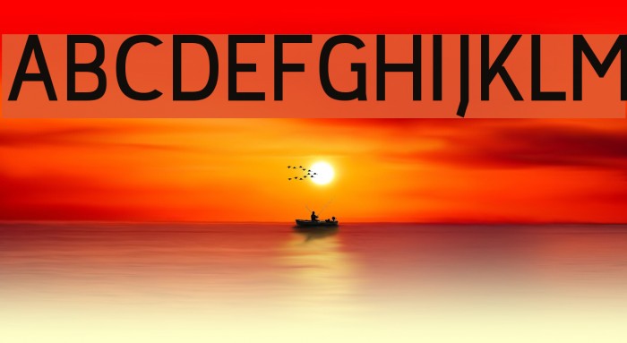 jaune d'oeuf Bold Font examples