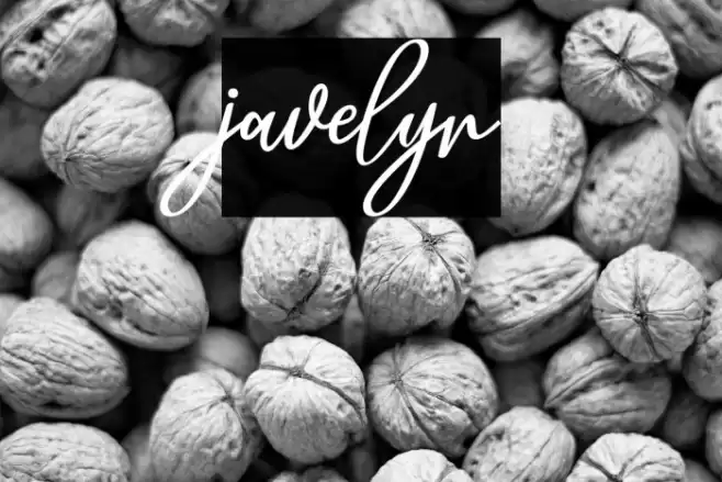 javelyn Font examples