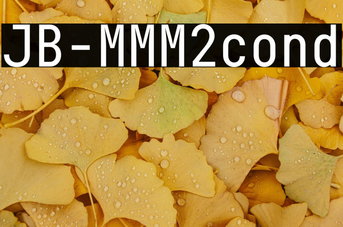 JB-MMM2cond Example 2