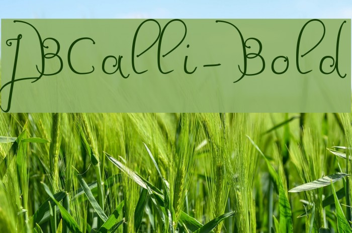 JBCalli-Bold Font examples