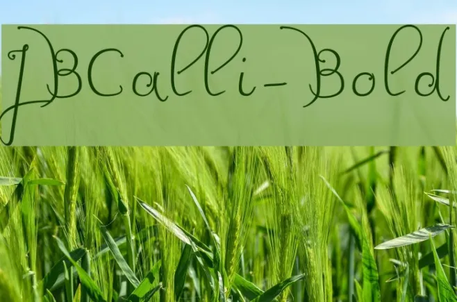 JBCalli-Bold Example 2