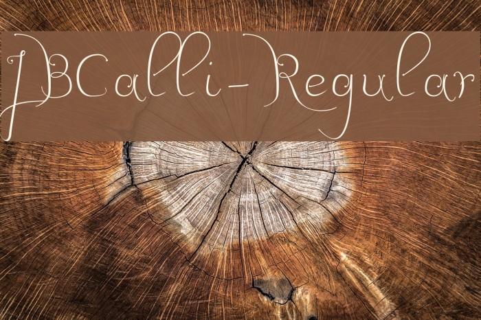 JBCalli-Regular Font examples