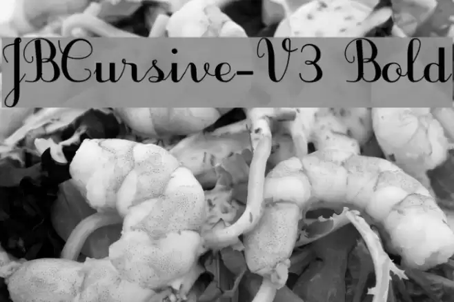 JBCursive-V3 Bold Font examples