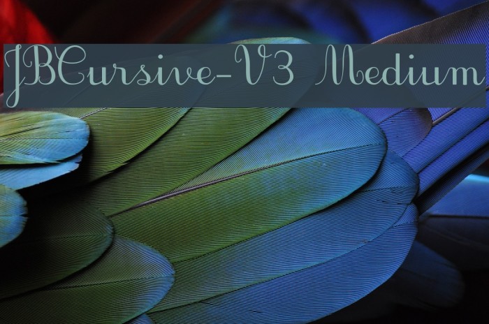 JBCursive-V3 Medium Font examples