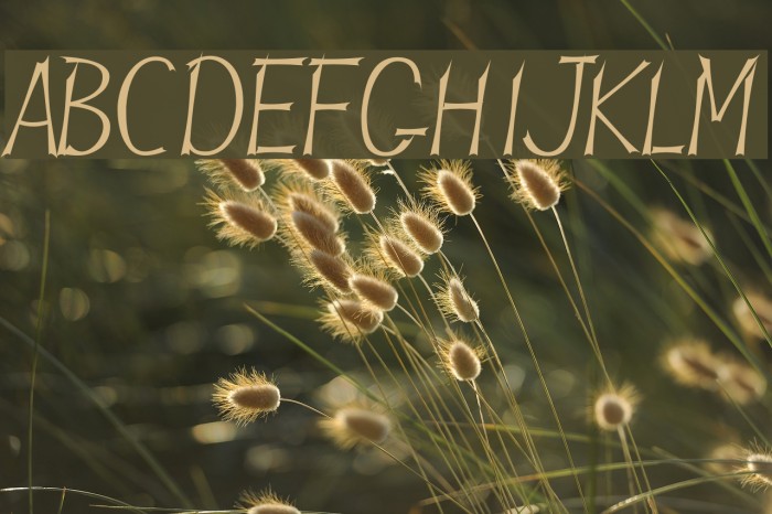 JBLames Font examples