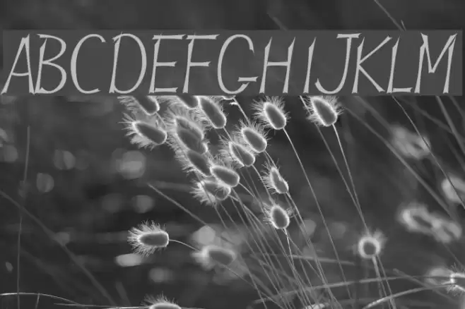 JBLames Font examples