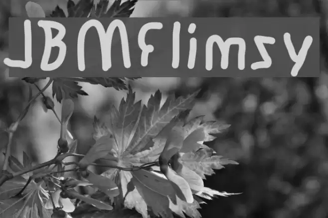JBMFlimsy Font examples