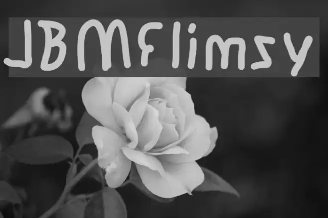 JBMFlimsy Font examples