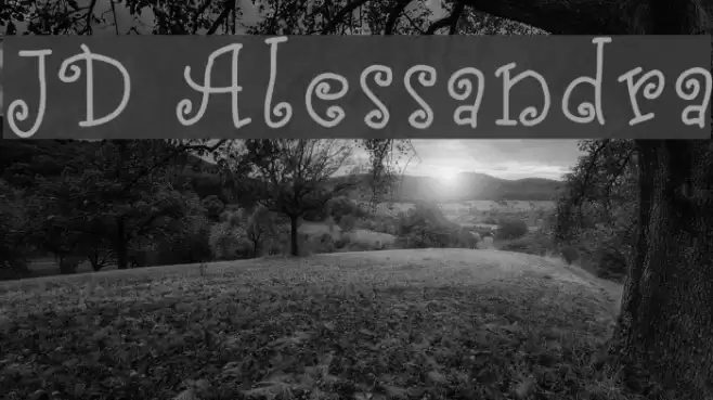 JD Alessandra Font examples