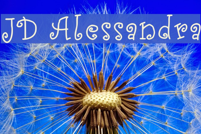 JD Alessandra Example 3