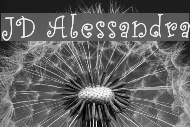JD Alessandra Font examples