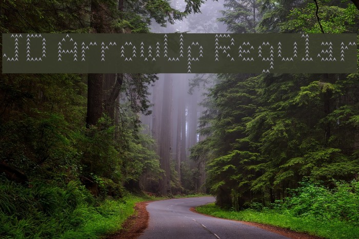 JD ArrowUp Regular Font examples