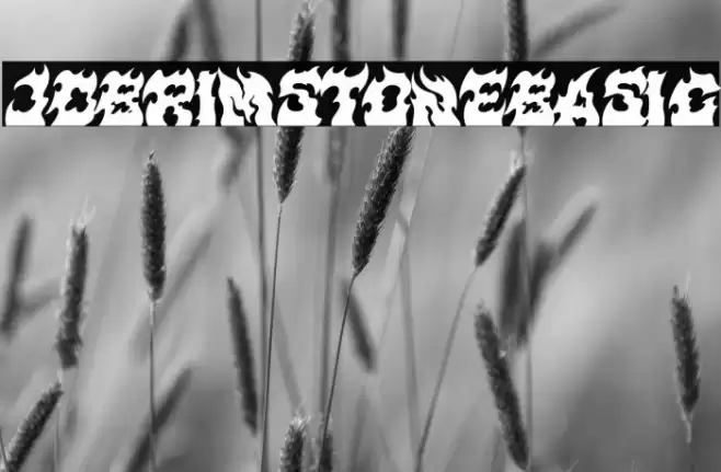 JD-BRIMSTONE-BASIC خط examples