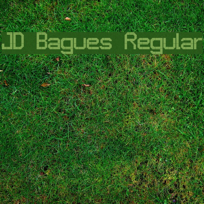 JD Bagues Regular Font examples
