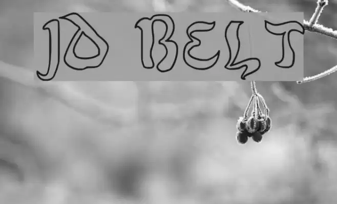 JD Belt Polices examples