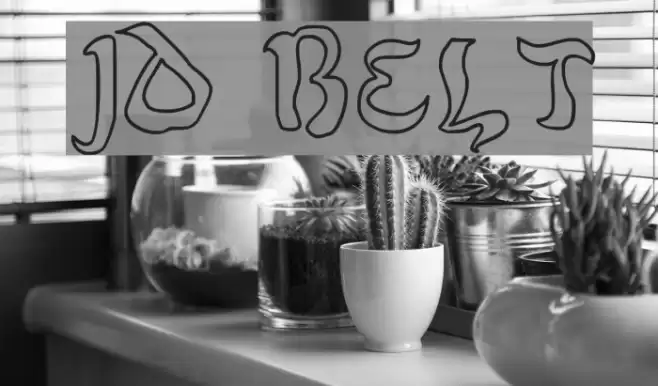 JD Belt Polices examples