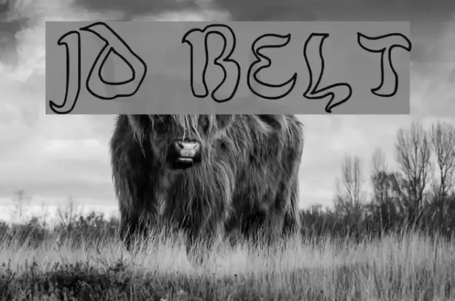 JD Belt Polices examples