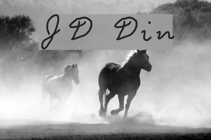 JD Din Font examples