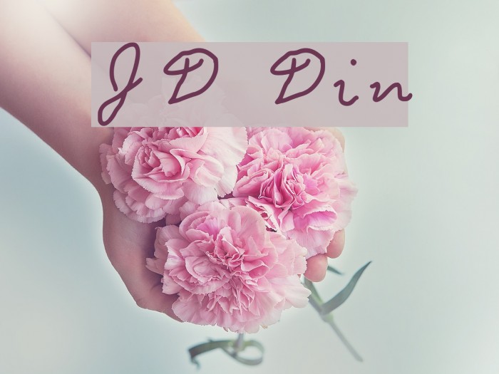 JD Din Font examples