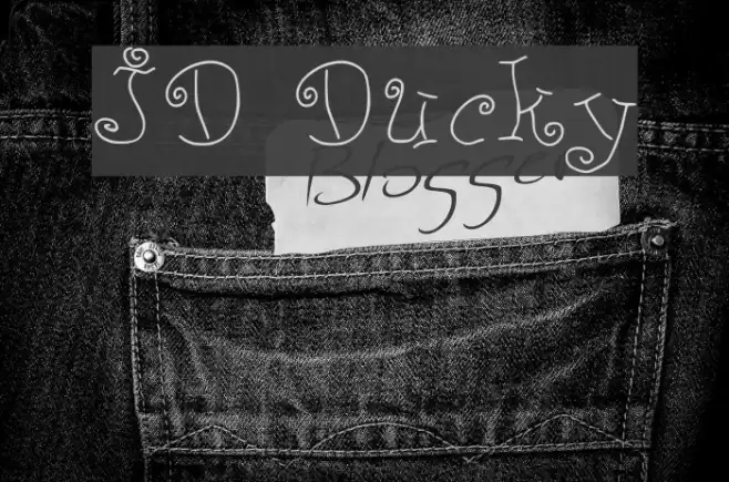 JD Ducky Font examples