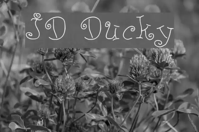 JD Ducky Font examples