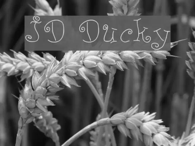JD Ducky Font examples
