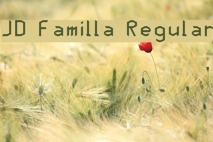 JD Familla Regular Example 1