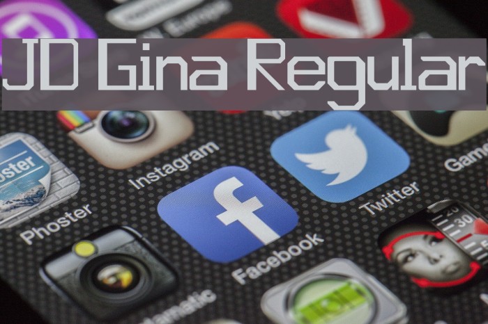 JD Gina Regular Example 1
