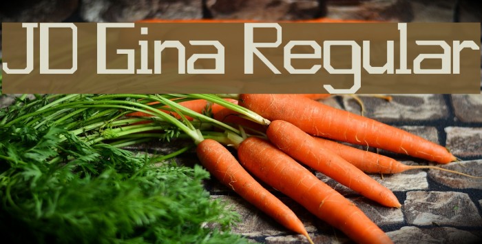 JD Gina Regular Example 2