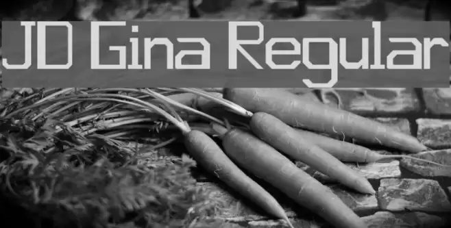 JD Gina Regular Font examples
