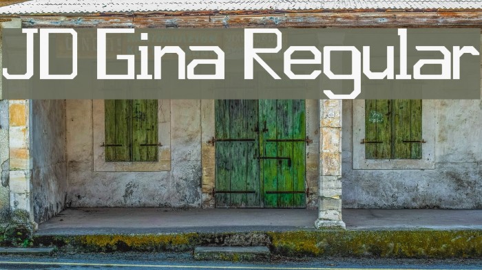 JD Gina Regular Example 3