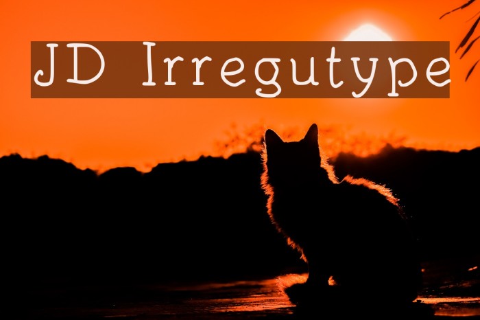 JD Irregutype Font examples