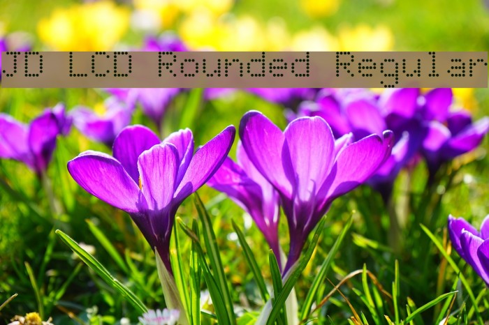 JD LCD Rounded Regular Font examples