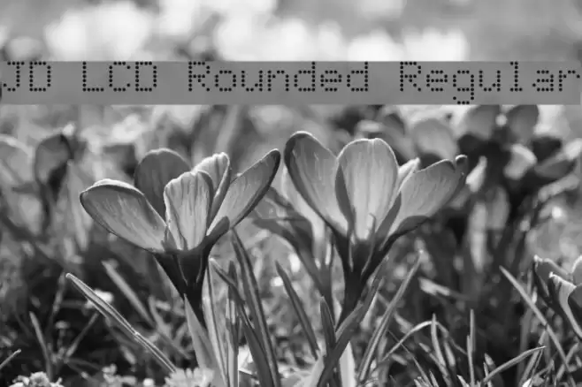 JD LCD Rounded Regular フォント examples
