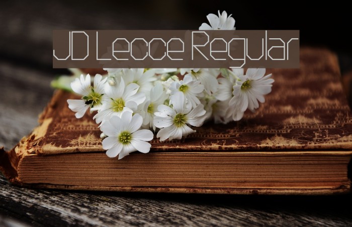JD Lecce Regular Font examples