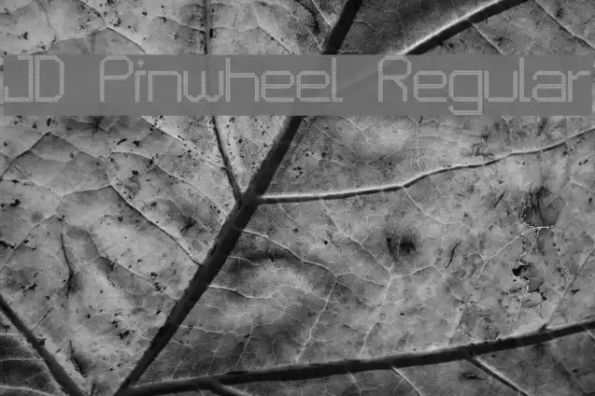 JD Pinwheel Regular Font examples