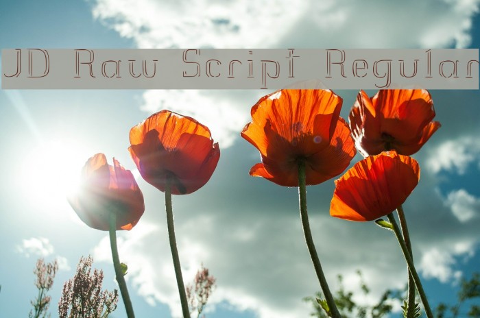 JD Raw Script Regular Font examples