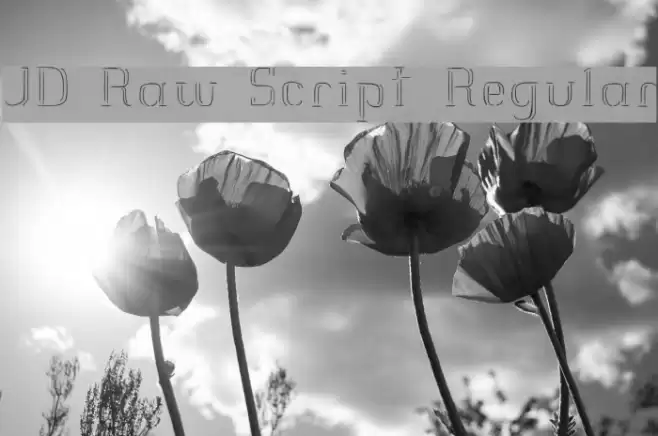 JD Raw Script Regular Font examples