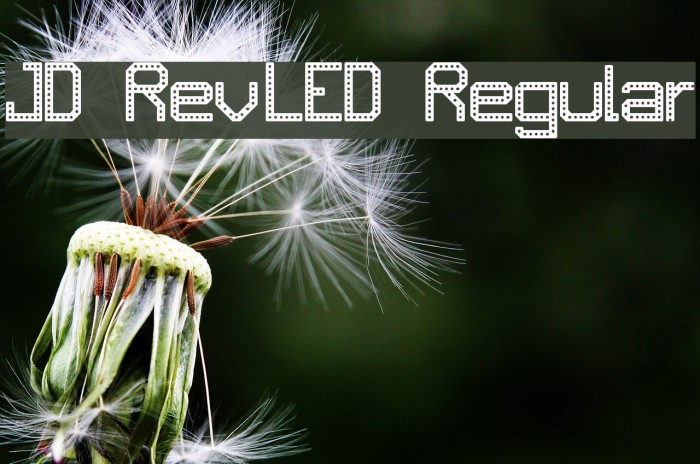JD RevLED Regular Font examples