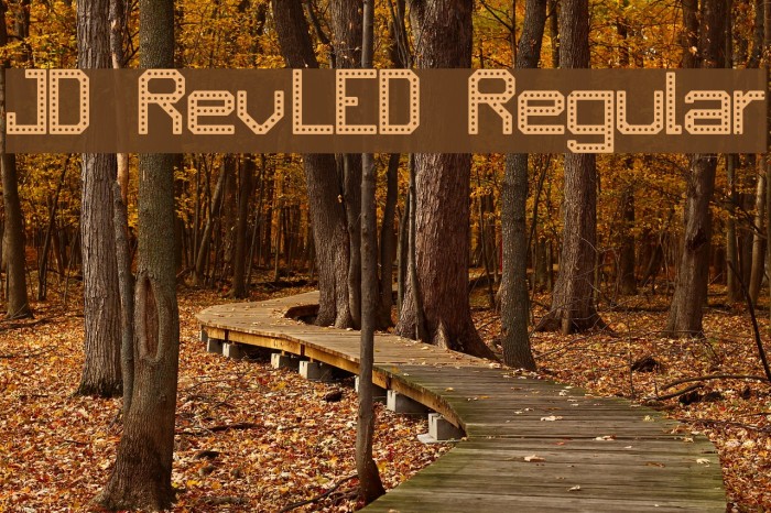 JD RevLED Regular Font examples