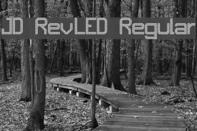 JD RevLED Regular Font examples