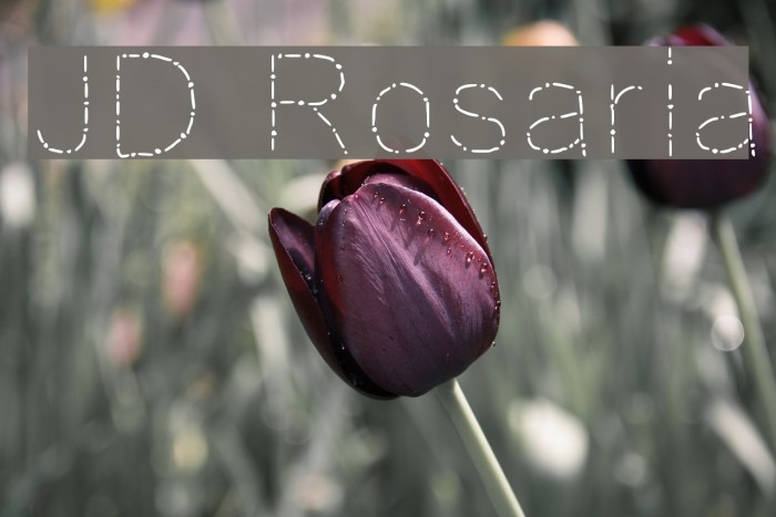 JD Rosaria Font examples