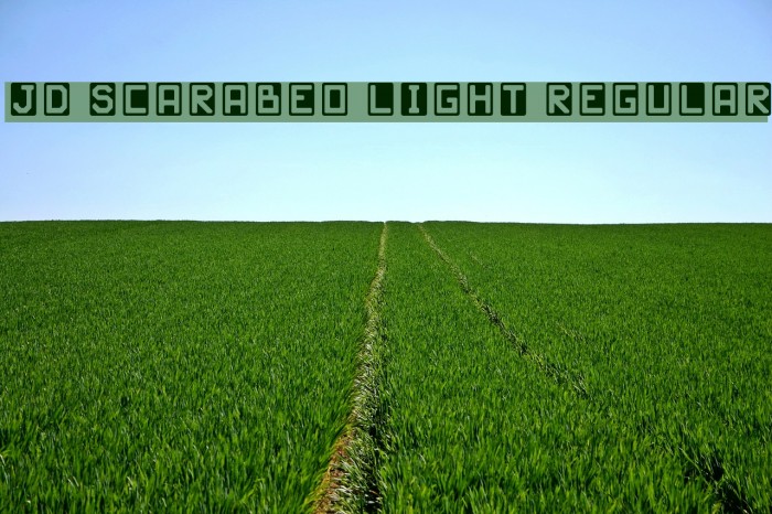 JD Scarabeo Light Regular Font examples