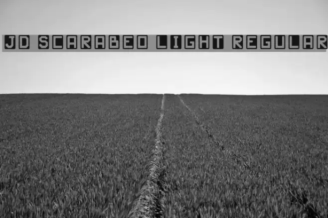 JD Scarabeo Light Regular Font examples