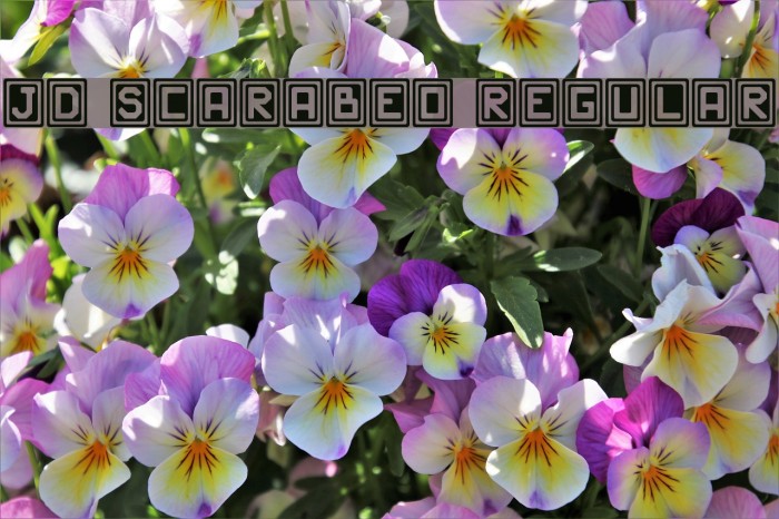 JD Scarabeo Regular Font examples