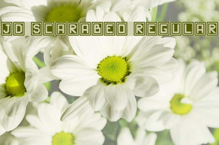 JD Scarabeo Regular Font examples
