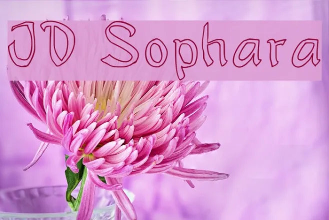 JD Sophara Example 2