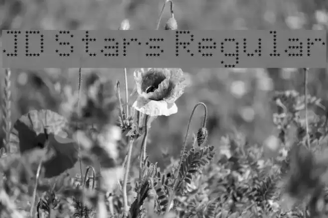 JD Stars Regular Font examples