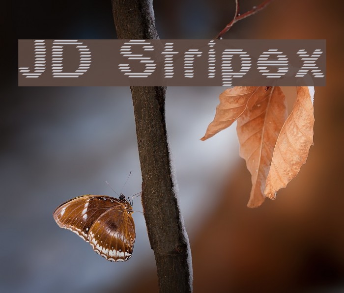 JD Stripex Example 3