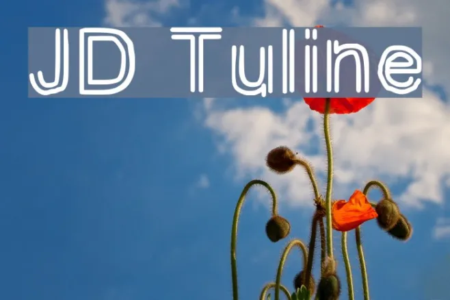 JD Tuline Example 3